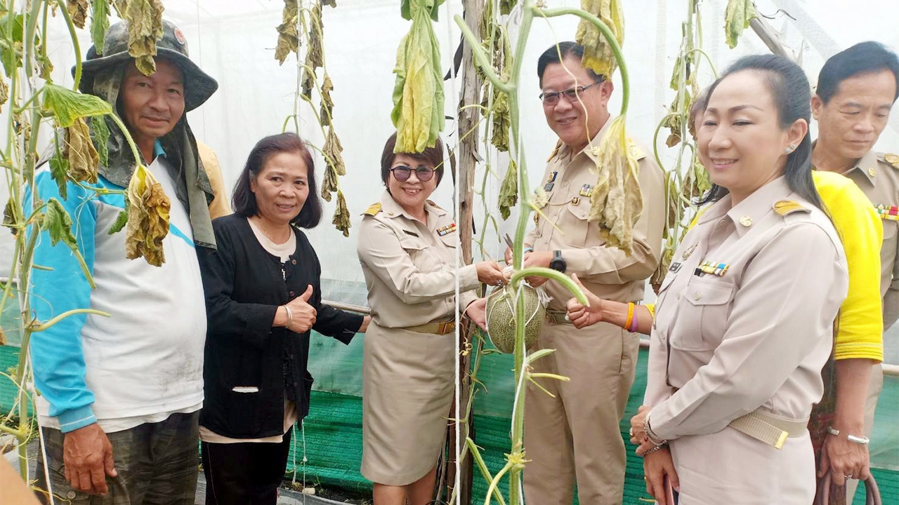 มองทั่วทิศเมืองไทย : อดีตผู้ใหญ่บ้านปลูก "เมลอน" สมาร์ทฟาร์ม