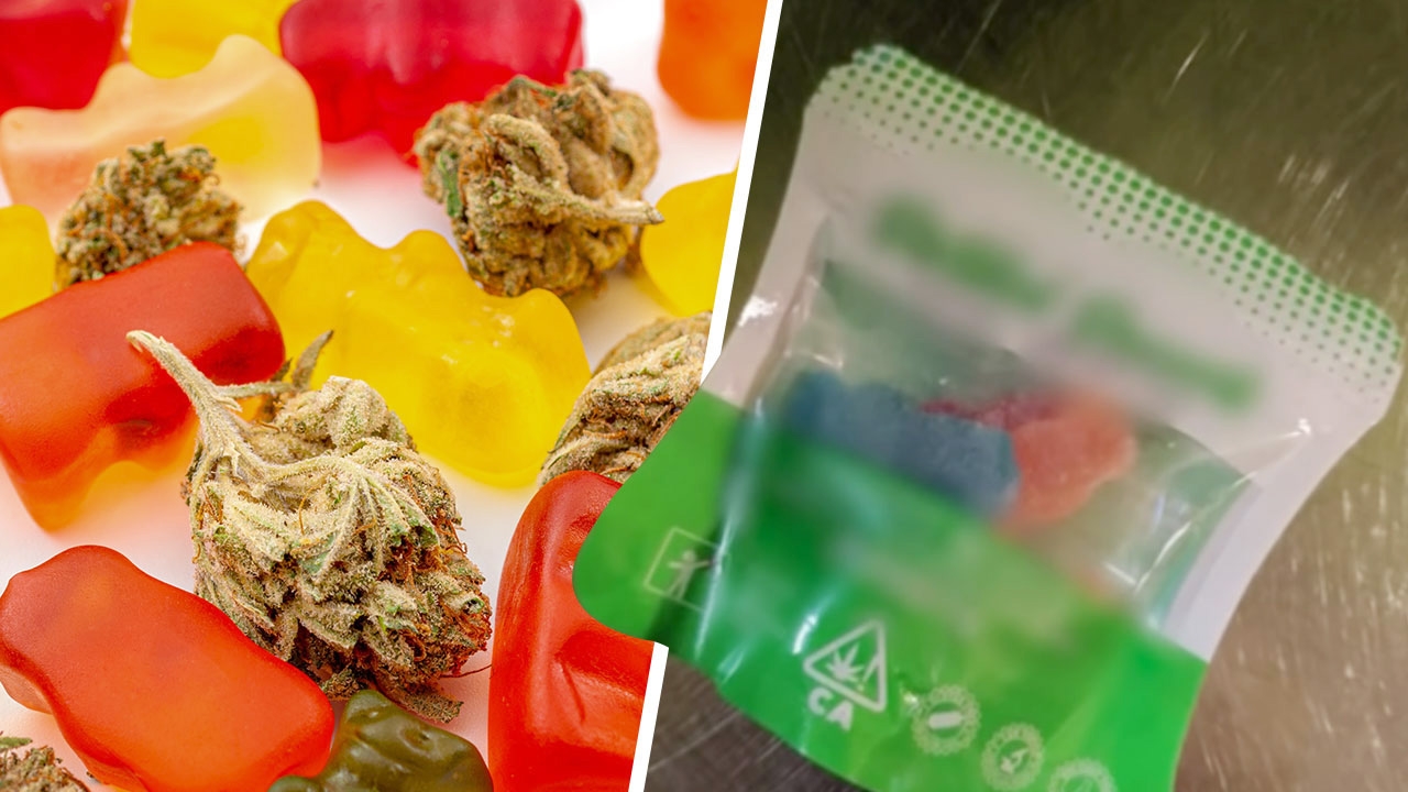 ไขข้อข้องใจ เยลลี่กัญชา กินเท่ากัน ออกฤทธิ์ต่าง บางคนมึน บางคนเฉย เพราะอะไร?