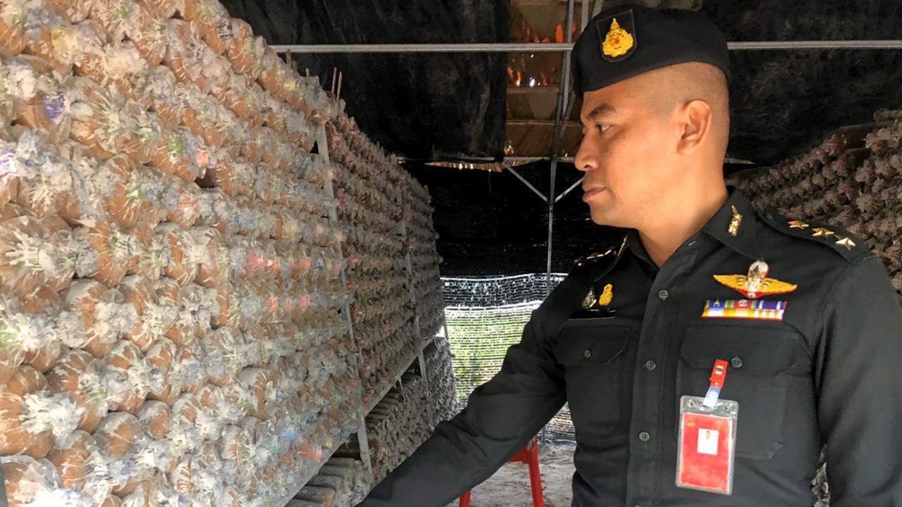 มองทั่วทิศเมืองไทย : เปลี่ยนคุกเป็นแหล่งฝึกอาชีพ