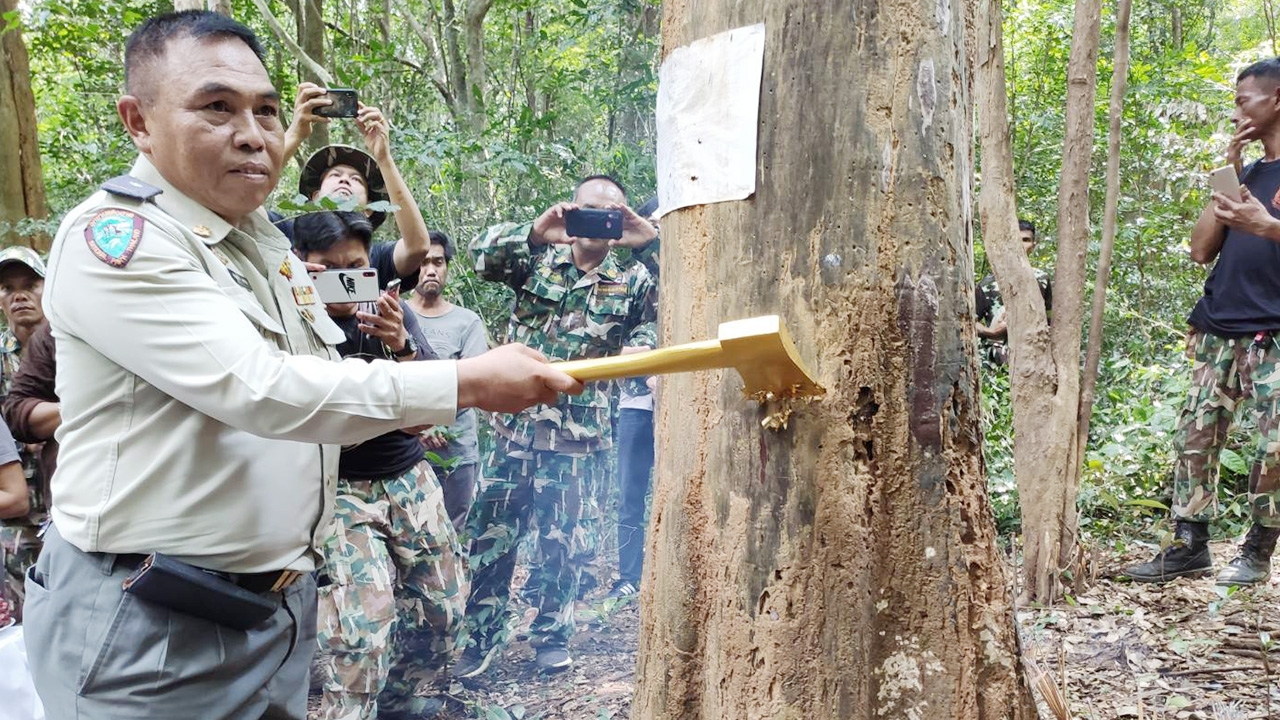 ขอไม้จันทน์หอมจากรุกขเทวดาป่ากุยบุรี ทำตาลปัตรพัดยศ 19 เล่ม