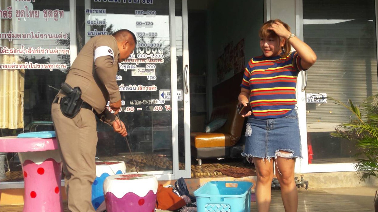 แวะมาเสริมสวย ช่างทำผมตะลึง "งูสา" แฝงอยู่ในร้าน แต่คอหวยชอบเลขที่บ้าน