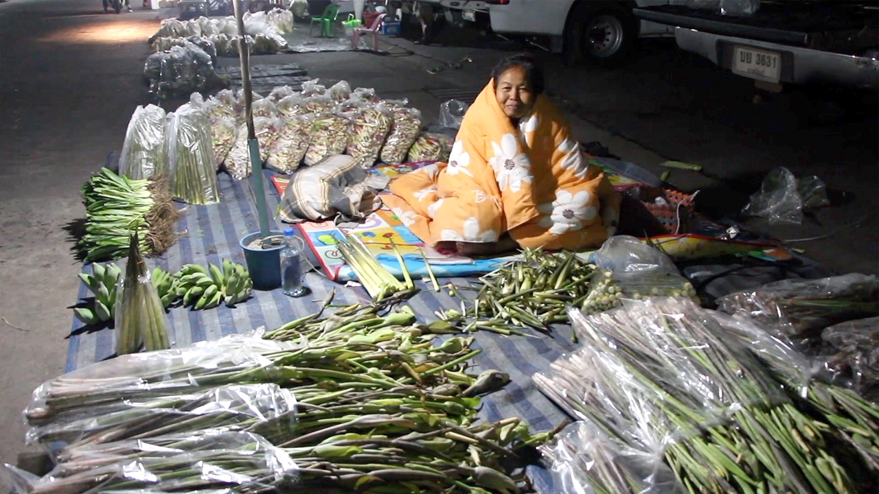 พ่อค้าแม่ค้ากาฬสินธุ์นั่งสั่น ต้องห่มผ้าขายผักโต้ลมหนาว ในยามค่ำคืน