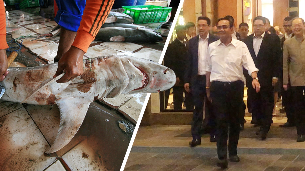 อ.ธรณ์ เผยขั้นตอน ก่อนเป็นซุปหูฉลาม สุดทรมาน เผยสรรพคุณ จวกแค่กินแล้วเท่