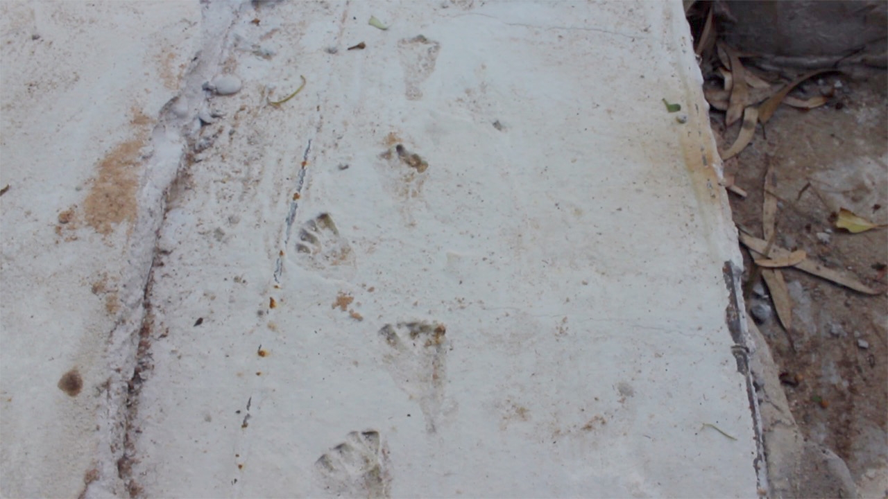 ฝันเห็นกุมาร ตื่นมาพบรอยคล้ายเท้าเด็กหลังรูปปั้นพญานาค เชื่อมาให้โชค