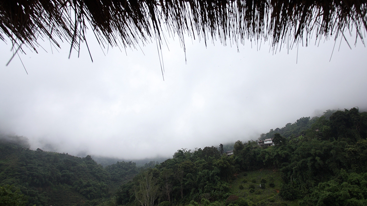 อุตุฯ ชี้ เหนือ-อีสานอากาศเย็นมีหมอกตอนเช้า ภาคใต้ฝนตกลดลง