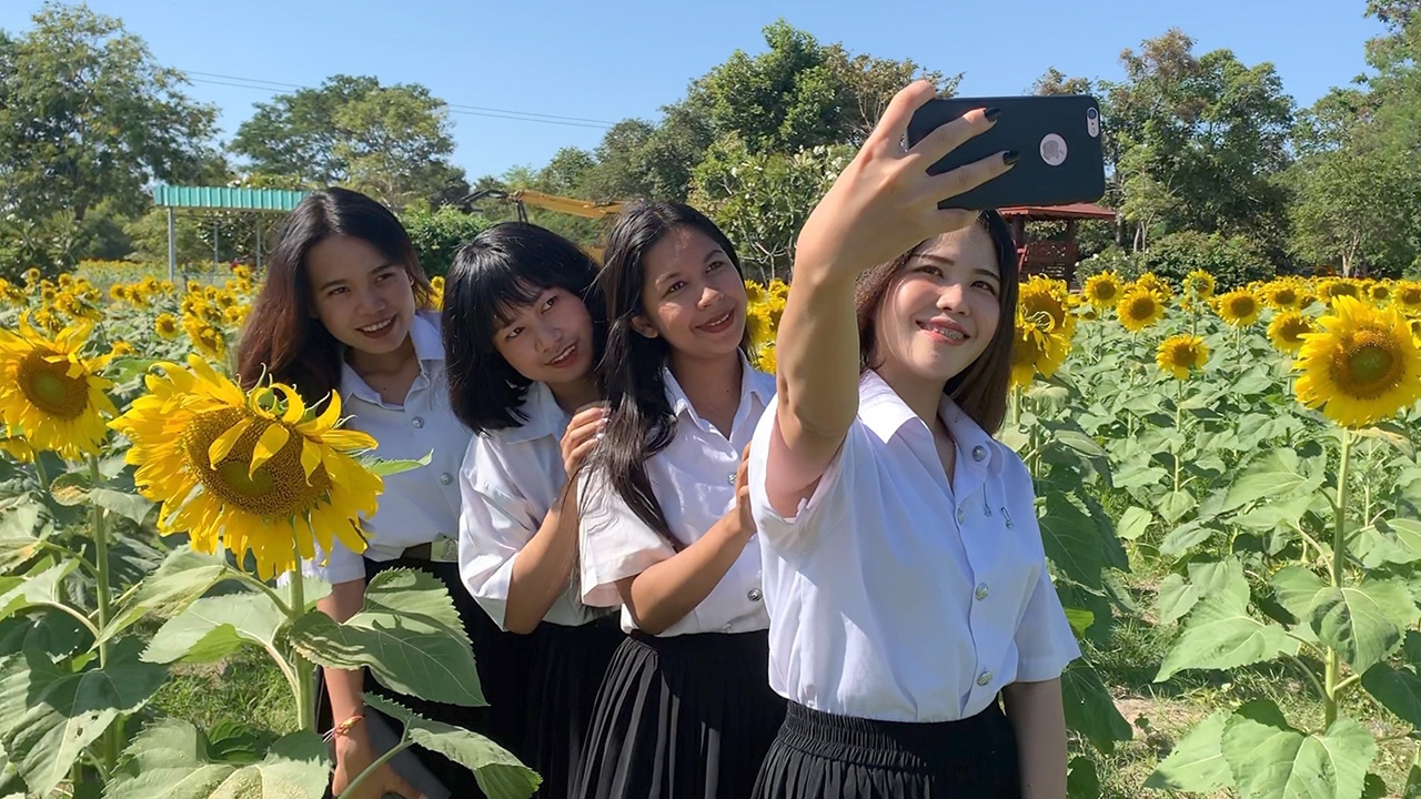 หน้าหนาวชวนเที่ยว ทุ่งทานตะวันสีทองหนองทึง แลนด์มาร์คใหม่ของกาฬสินธุ์