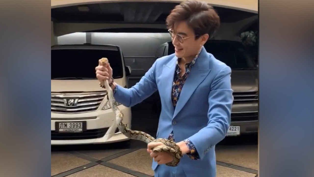 ขนลุกแทน มาวิน ใส่สูทโชว์ฝีมือจับงูเข้าบ้านด้วยมือเปล่า (คลิป)