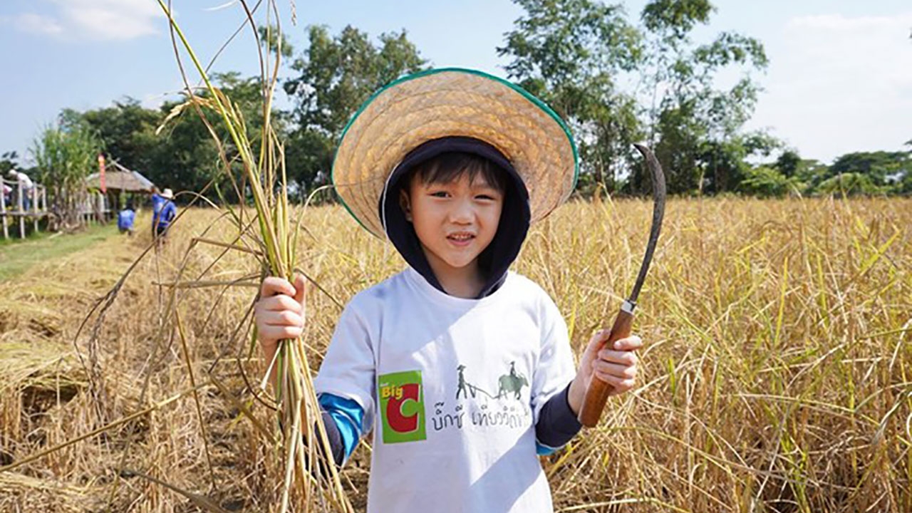 บิ๊กซี ซูเปอร์เซ็นเตอร์ อยู่เคียงข้างเกษตรกรไทย ร่วมสนับสนุนกลุ่มวิสาหกิจชุมชนเกษตรอินทรีย์