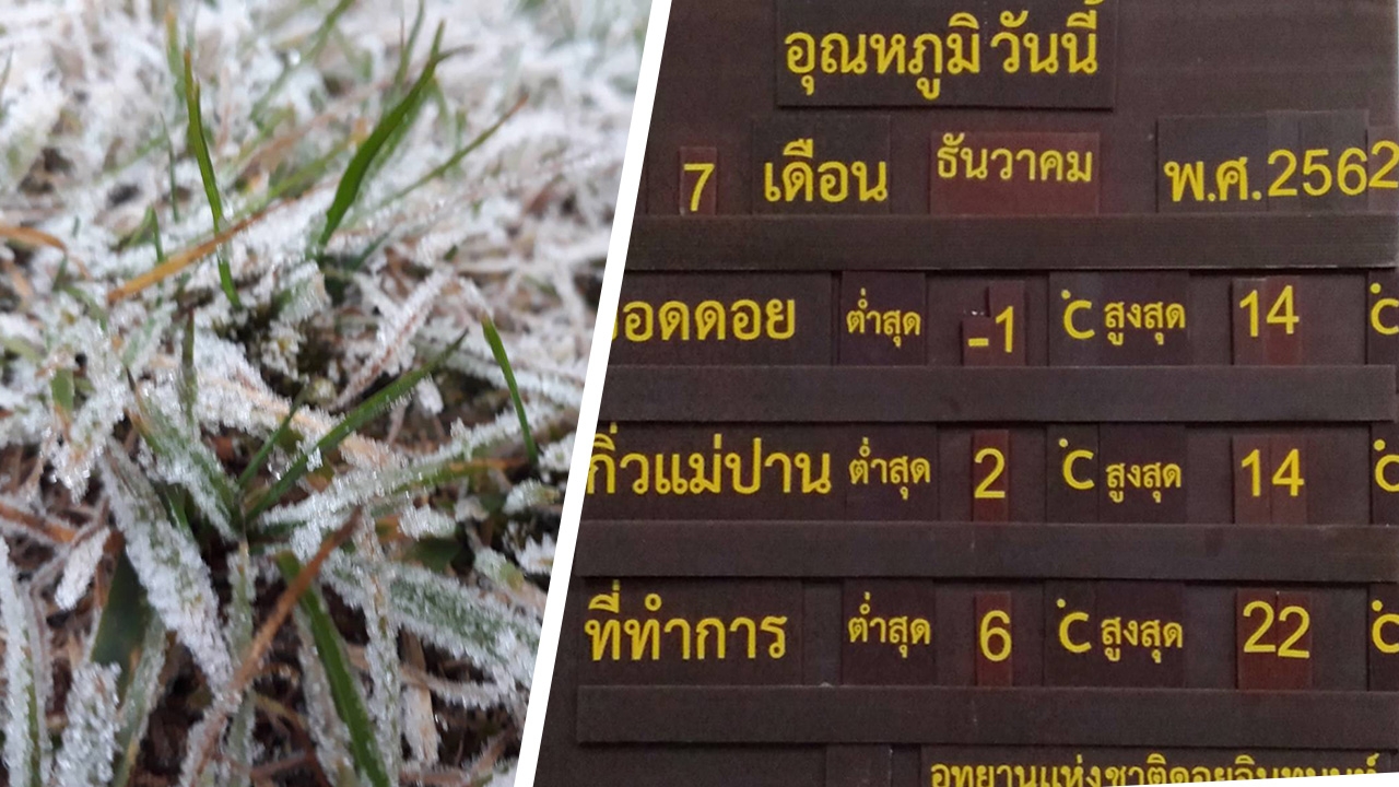 ติดลบแล้ว -1 องศาฯ อินทนนท์เยือกแแข็ง เหมยขาบขาวโพลน