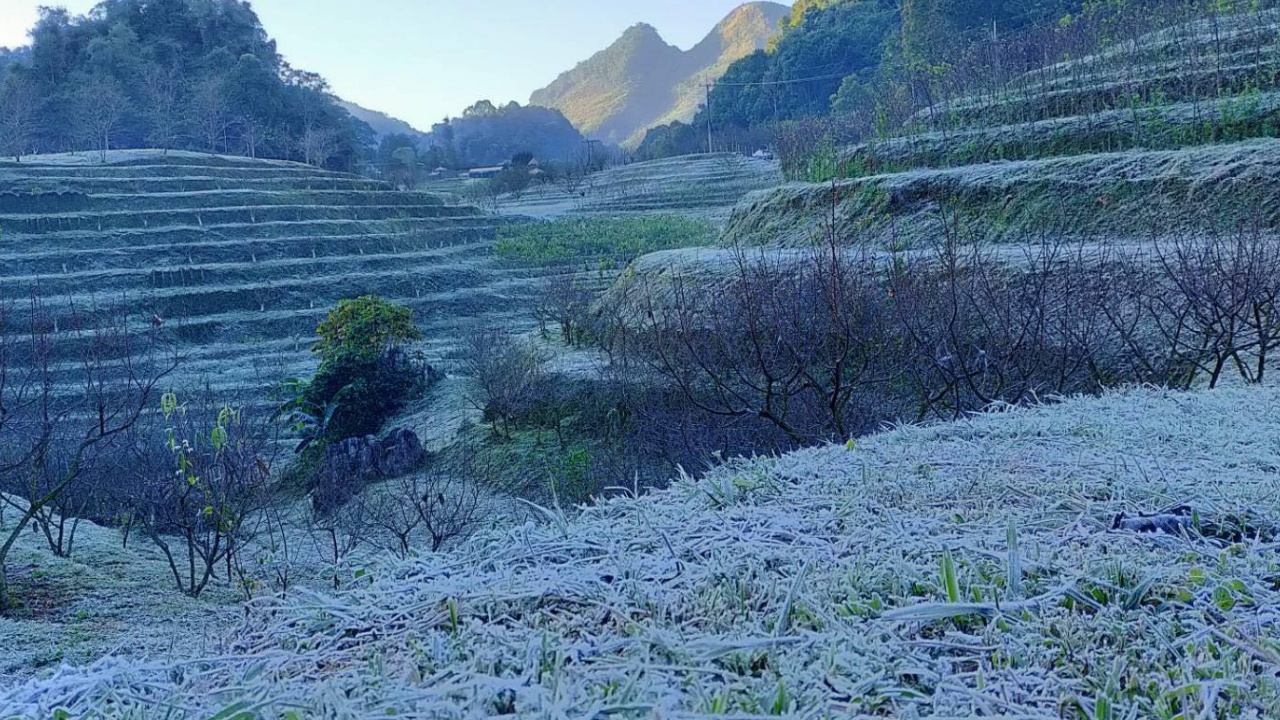 หนาวยะเยือก 0.9 องศาฯ เกิดเหมยขาบบนดอยอ่างขาง วันที่ 2