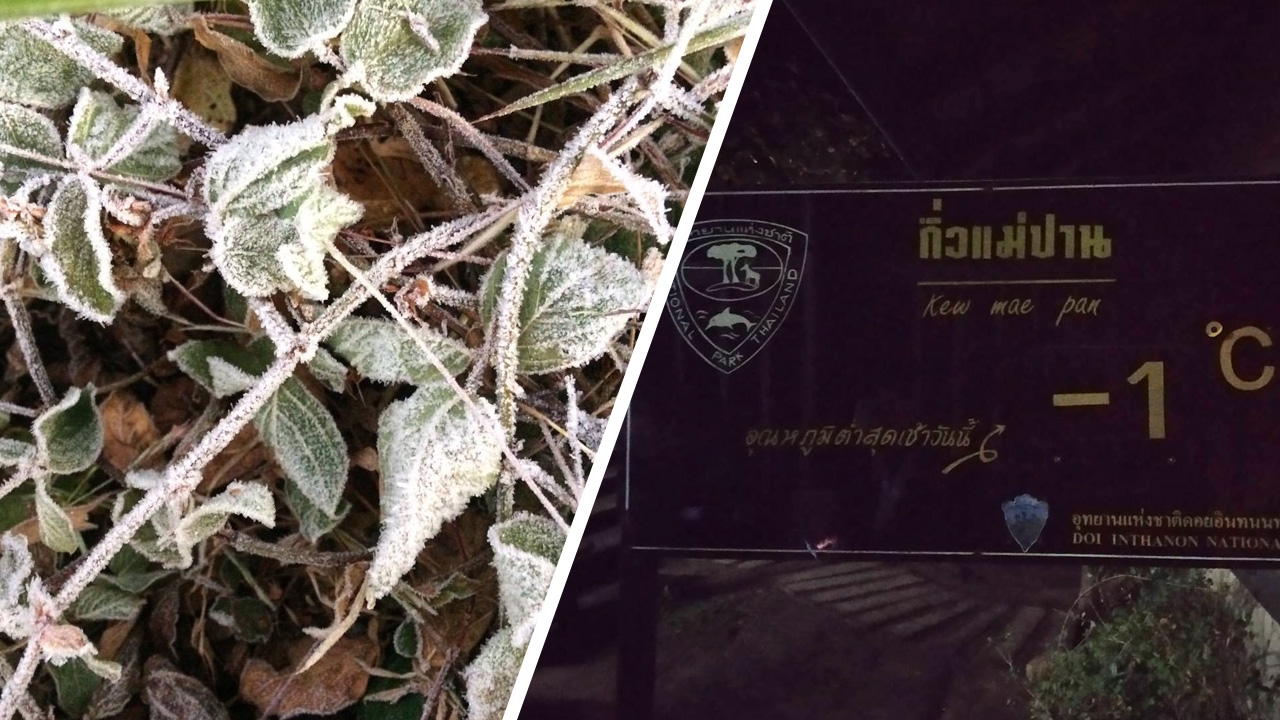 อินทนนท์ยังหนาวสะท้าน ติดลบ 1 องศา น้ำค้างแข็งขาวโพลน