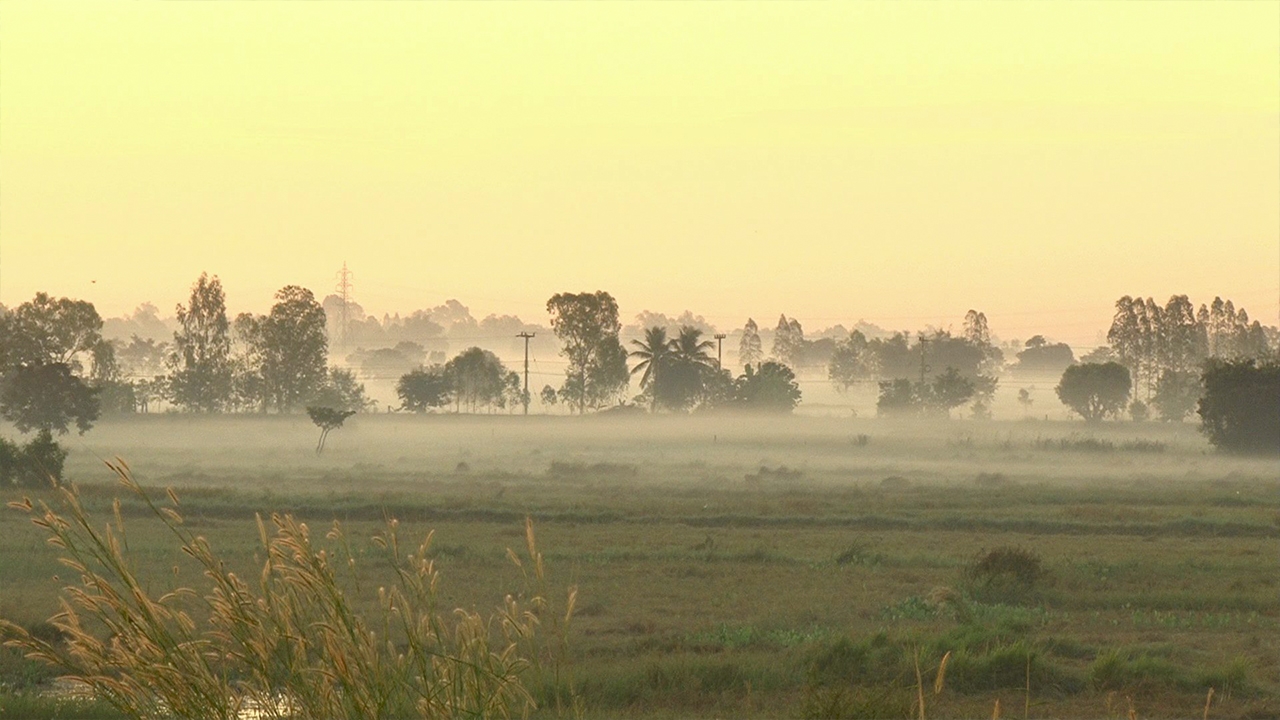 'เหนือ-อีสาน' ยังหนาว กลางวันแดดจัด กทม.อากาศชิลๆ ต่ำสุด 20 องศา