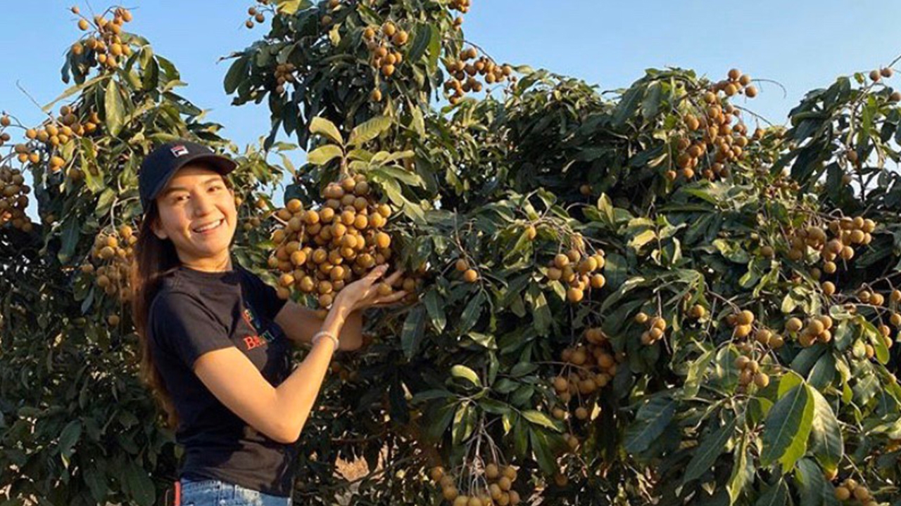 พลอย ชิดจันทร์ เผยหลังพักงานบันเทิง หันมาทำสวนลำไย 280 ไร่