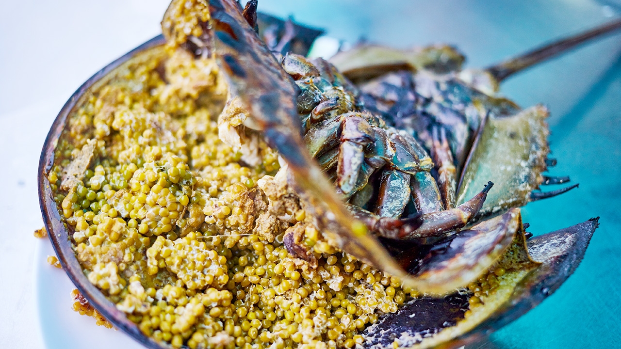 ซื้อแมงดาทะเลมากิน ไม่รู้มีพิษ สาวใหญ่ตาย เพื่อนโคม่า อยู่ไอซียู