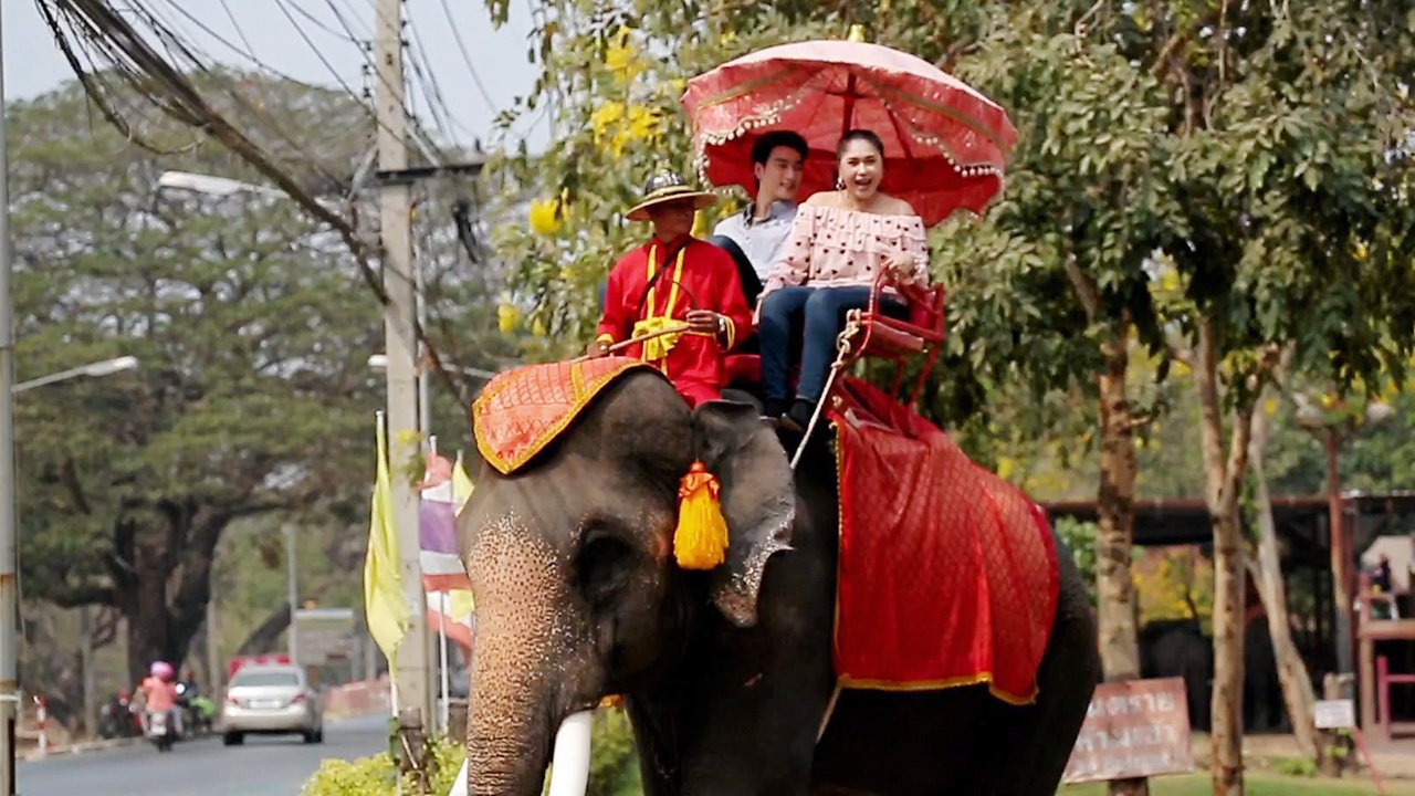 "เอ้ ชุติมา" สวีต "ฟร้อง" แฟนเด็ก ควงขี่ช้าง ยันยังหวานอยู่