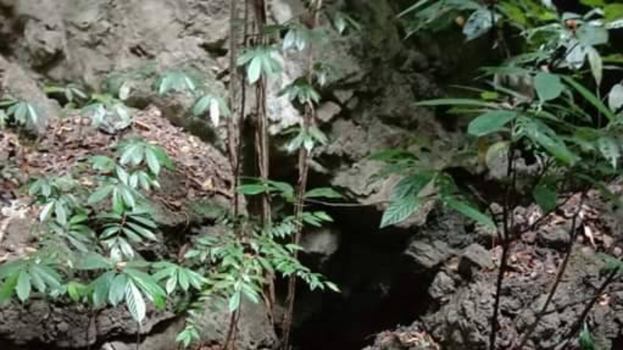 สาวพิษณุโลกมาปฏิบัติธรรมที่กระบี่ เห็นนิมิตเดินขึ้นเขา แล้วตกหน้าผาตาย