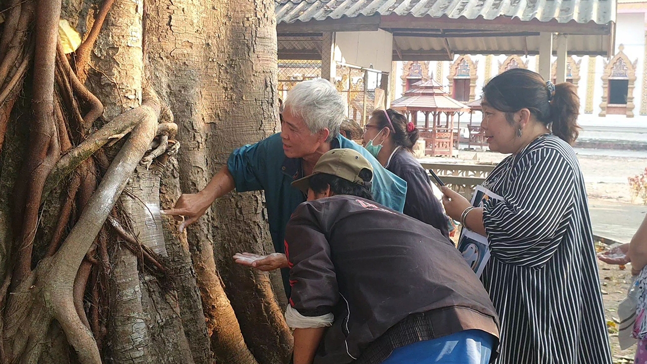 แห่ขอโชคลาภ ต้นโพธิ์โบราณ 500 ปี ไม่ผิดหวังได้ "เลขเด็ด" ไปลุ้นรวย