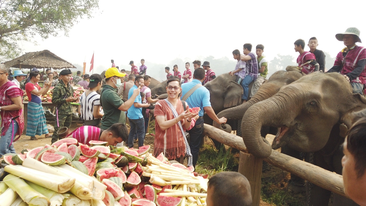งานช้างไทยปี 63 ตากกร่อย มาแค่ 23 เชือก เหตุงานหดหนีไปทำงานฝั่งเมียนมา