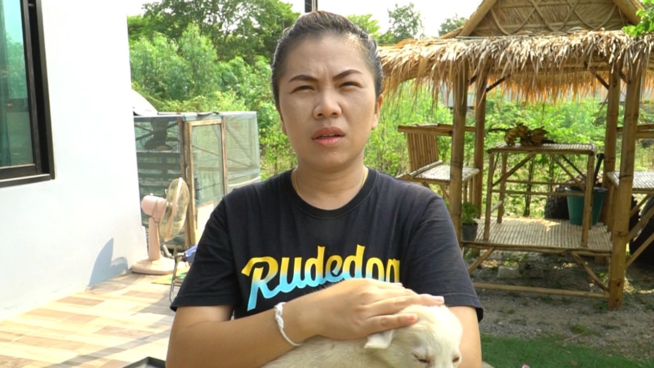 สาวชัยนาท ร้องสื่อ แม่หมาไซบีเรียนฯหาย คาดถูกคนใจร้ายวางยาตายไปแล้ว