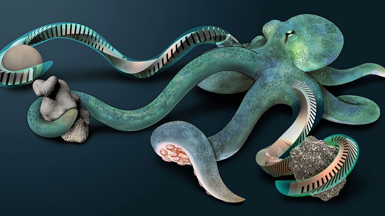 พัฒนาอุปกรณ์ควบคุมยืดหยุ่น สำหรับหุ่นยนต์