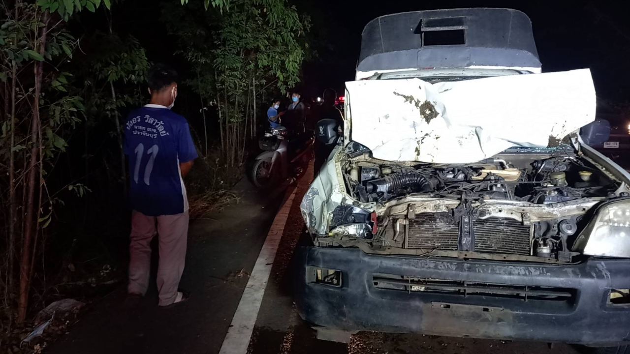 กระบะรับส่ง พนง. พุ่งชนควายท้องแก่ข้ามถนน ตายทั้งกลม 1 คนเจ็บ 6 