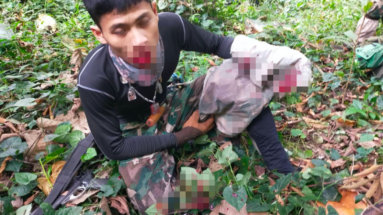 กระทิงหนุ่มซุ่มในพุ่มไม้ ขวิด จนท.พิทักษ์ป่าแม่วงก์ บาดเจ็บ 2 นาย