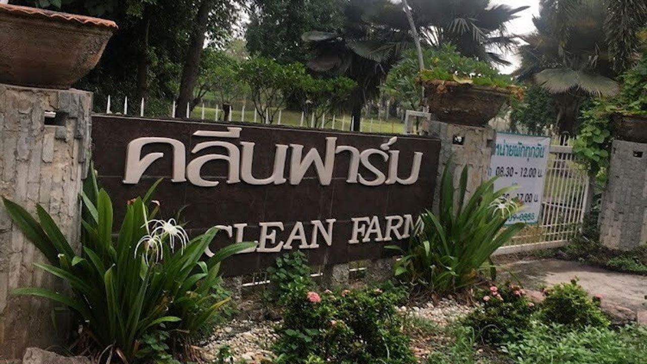 เยี่ยม “คลีนฟาร์ม” สระบุรี  “ซี 11” สู่ “เกษตร” เงินล้าน