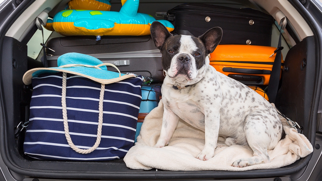 7 ข้อเช็กรถก่อนเดินทางไกล แบตฯ ยาง ไฟ เบรก ช่วงล่าง ตรวจเองได้ไม่ยากเลย! 