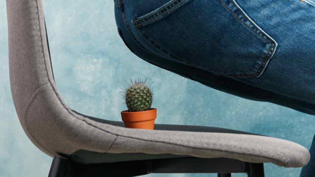 นั่งนานเบ่งถ่าย อาจต้องหนักใจกับริดสีดวงทวารหนัก