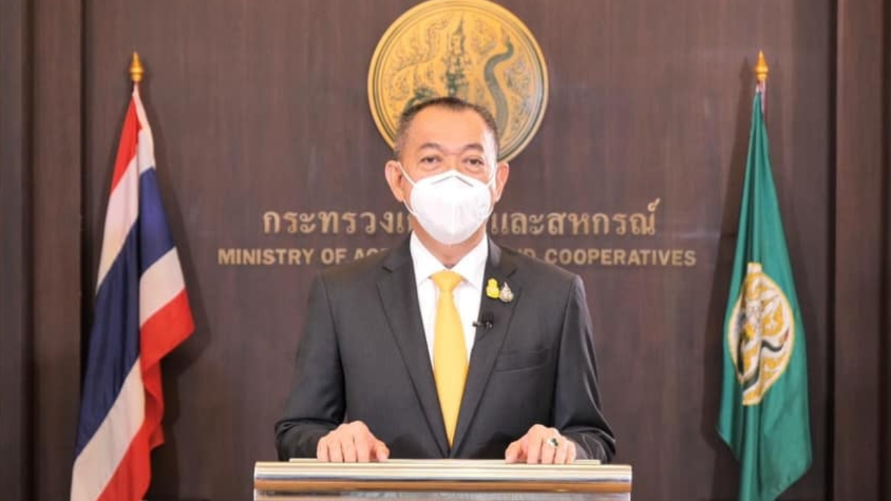 ข่าวดีชาวสวนผลไม้ไทย รมว.เกษตรฯ เผย 4 ม.ค. จีนเปิดด่านให้ขนทุเรียน ลำไย ได้แล้ว