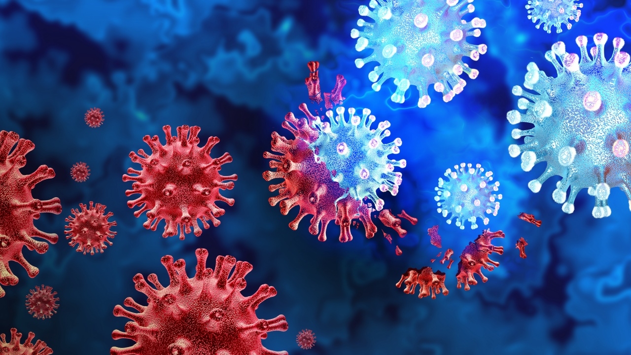 "หมอยง" ถอดบทเรียน โควิด "โอมิครอน" ชี้อาจมาช่วยปิดเกม