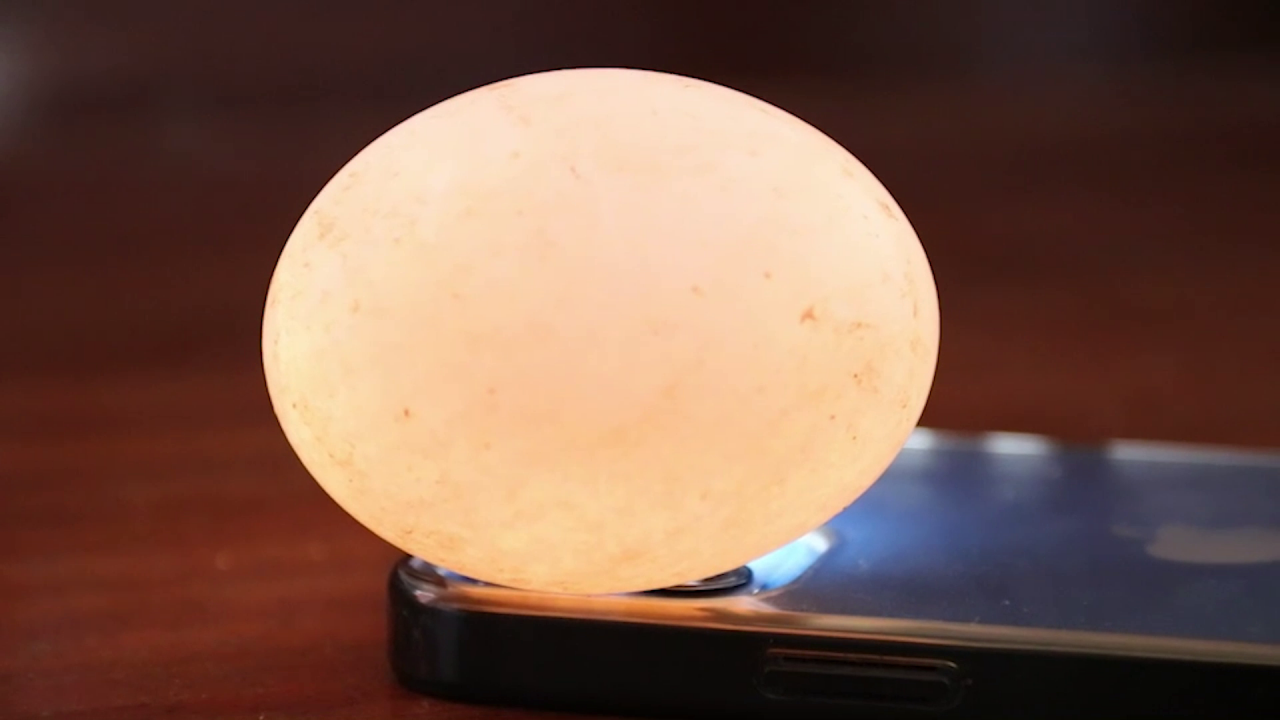 บุกพิสูจน์ไข่เป็ดเรืองแสง ระบุชัดเป็น "หิน" ลุงยืนยันบูชาต่อ