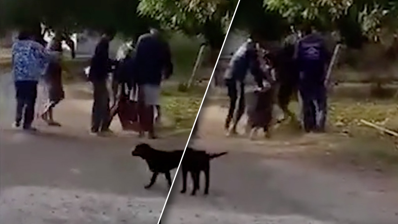 โซเชียลจวกยับ อดีต อบต.พาพวกฮือรุมกระทืบอริลูกชาย เจ้าตัวชี้แค่ไปห้าม