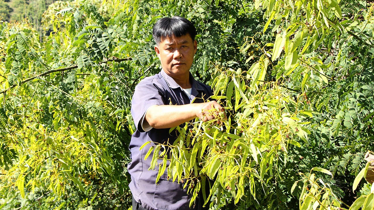 “งวม” อาหารเลิศรสมีปีละครั้ง