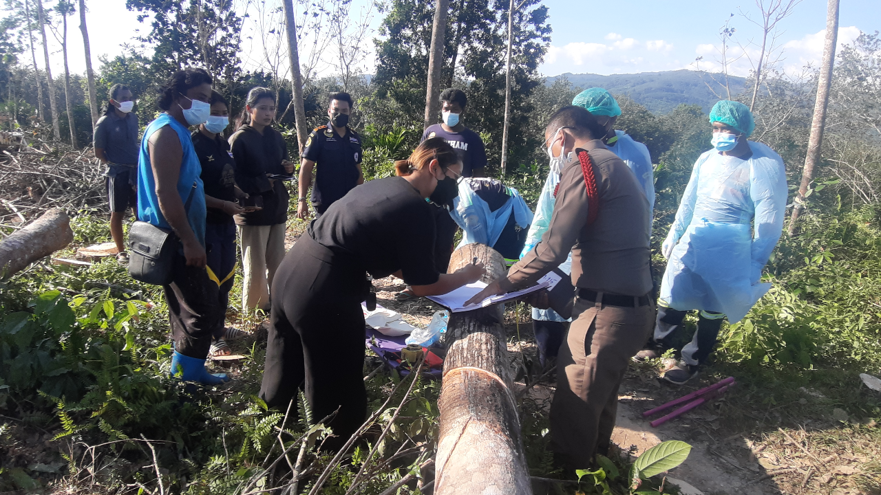 ช้างคลั่ง-ตกมัน "ฆ่าควาญสยอง" กระทืบแหลกเป็นชิ้น ดับคาสวนยาง