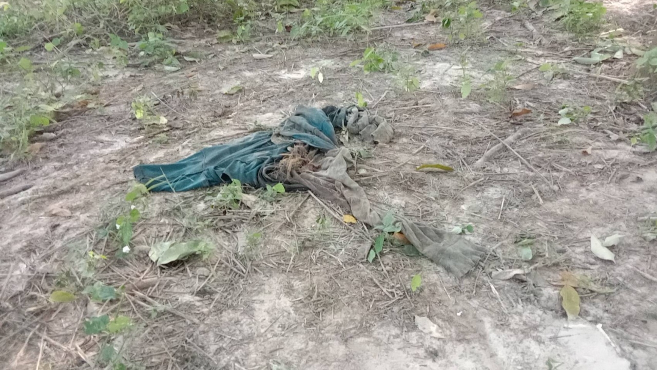 ช้างป่าดุลงหาอาหาร ก่อนพบหนุ่มกรีดยาง วิ่งไล่กระทืบร่างเละดับ