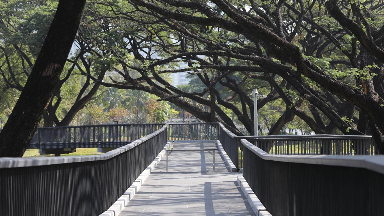 รู้จักสวนเบญจกิติ เวอร์ชันใหม่ จากสวนสาธารณะสู่สวนป่าใจกลางกรุง 