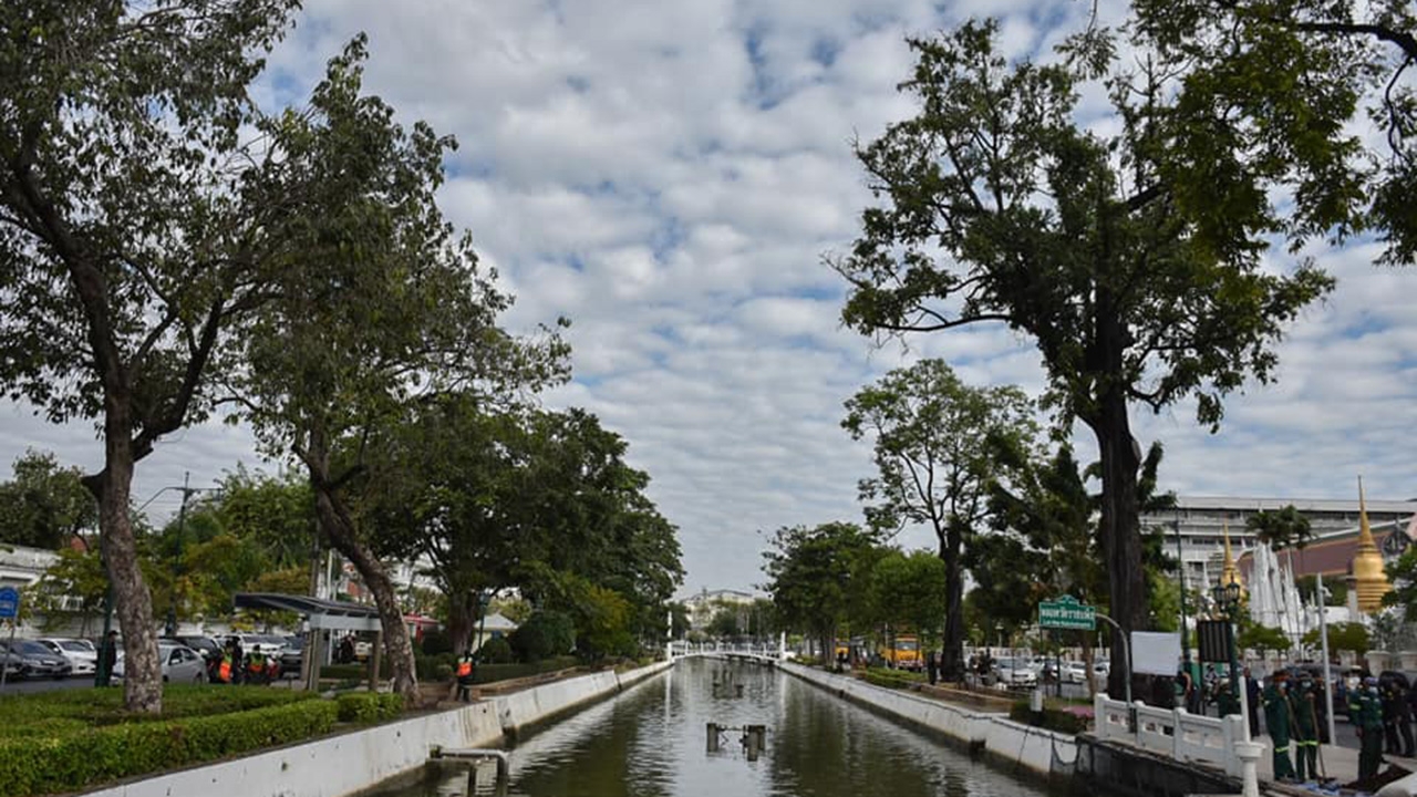 ฟื้นฟูตะเคียนโบราณ 200 ปี ริมคลองหลอดหน้าวัดราชบพิธ-กทม.ร่วมมือเครือข่าย