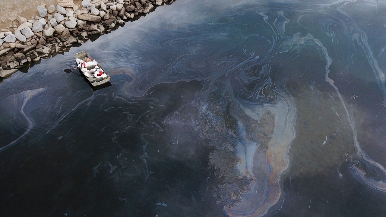 แคลิฟอร์เนียสั่งปิดหาด เร่งสกัดน้ำมันรั่วไหลครั้งใหญ่สุดในรอบหลายสิบปี