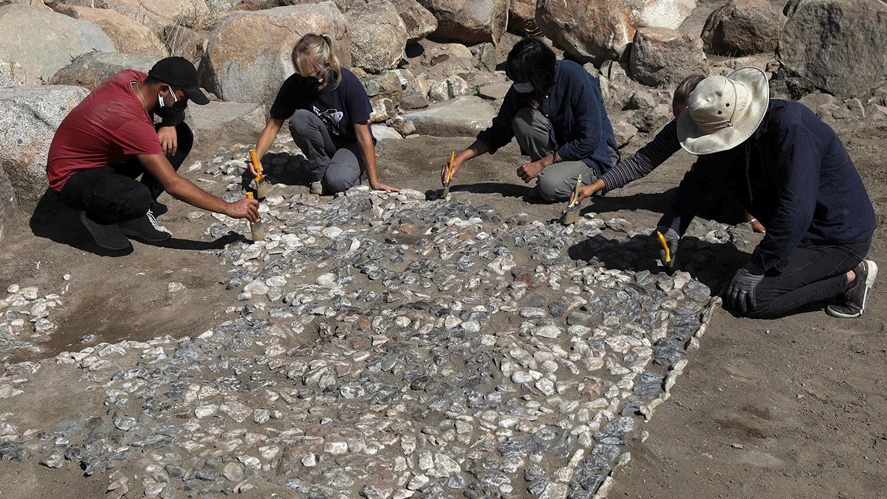 การค้นพบรากเหง้าของหินโมเสกเมดิเตอร์เรเนียนพบในตุรกี