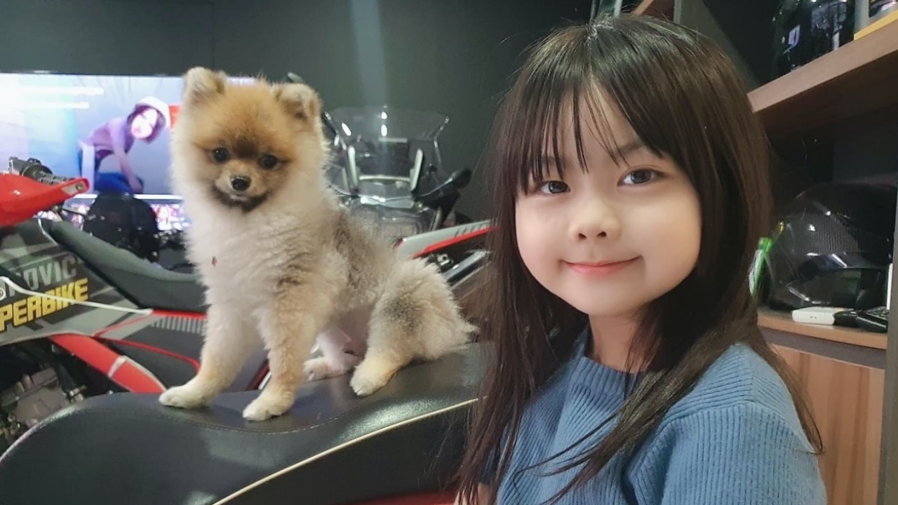 เด็กหญิงวอนขอคืน หนุ่มสาวอุ้มน้องหมา 2 ตัวพาหาย เชื่อไม่ได้ตั้งใจขโมย 