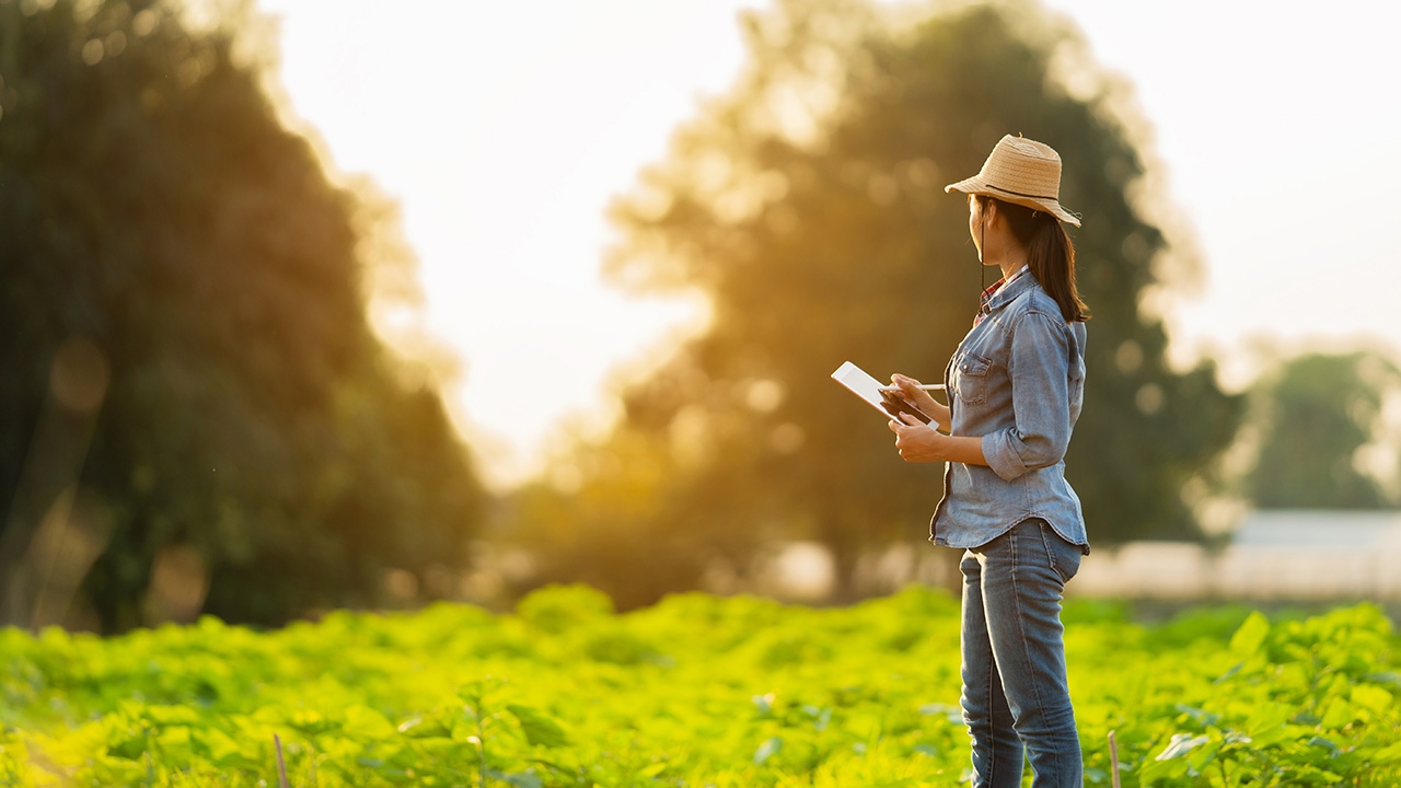 กุญแจทฤษฎีใหม่ ไขทุกภัยยุคโควิด-19