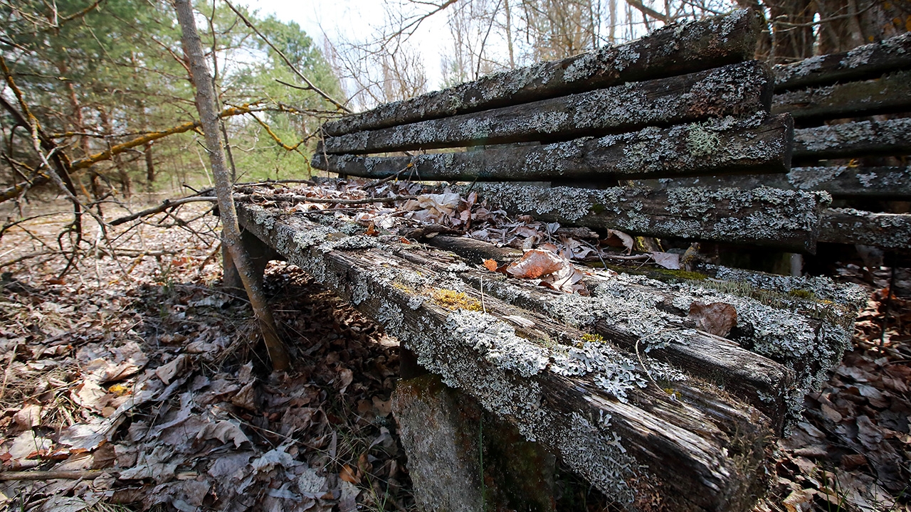 ผลกระทบจากเชียร์โนบีล