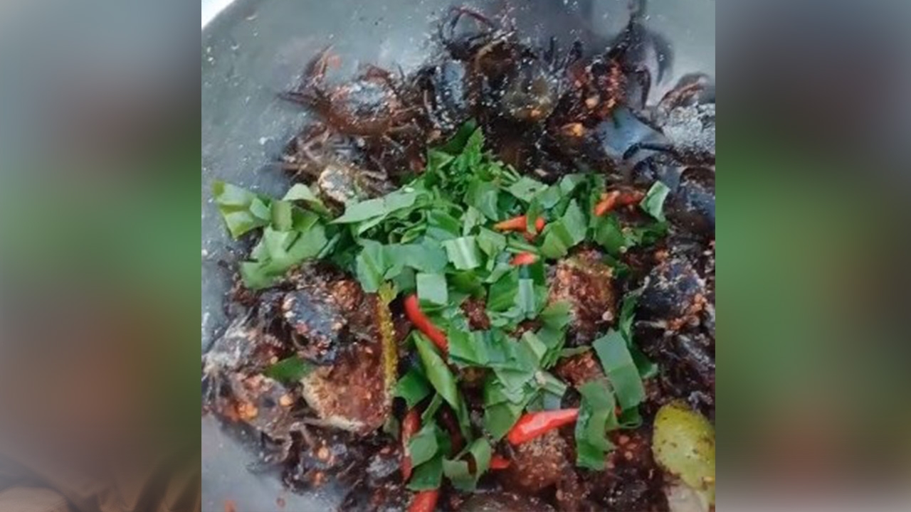 หนุ่มเผยคลิปเปิบพิสดาร "ปูนาเต้น" กินแบบดิบๆ โซเชียลห่วงเสี่ยงพยาธิ