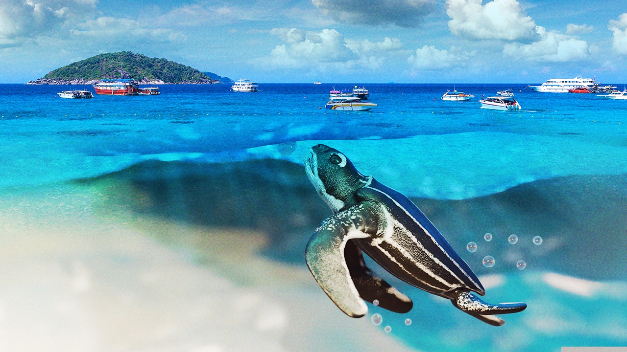 กว่า 17 ปีที่รอคอย คนรักทะเลไม่เสียเปล่า "อันดามัน" ขึ้นบัญชีเบื้องต้นมรดกโลก