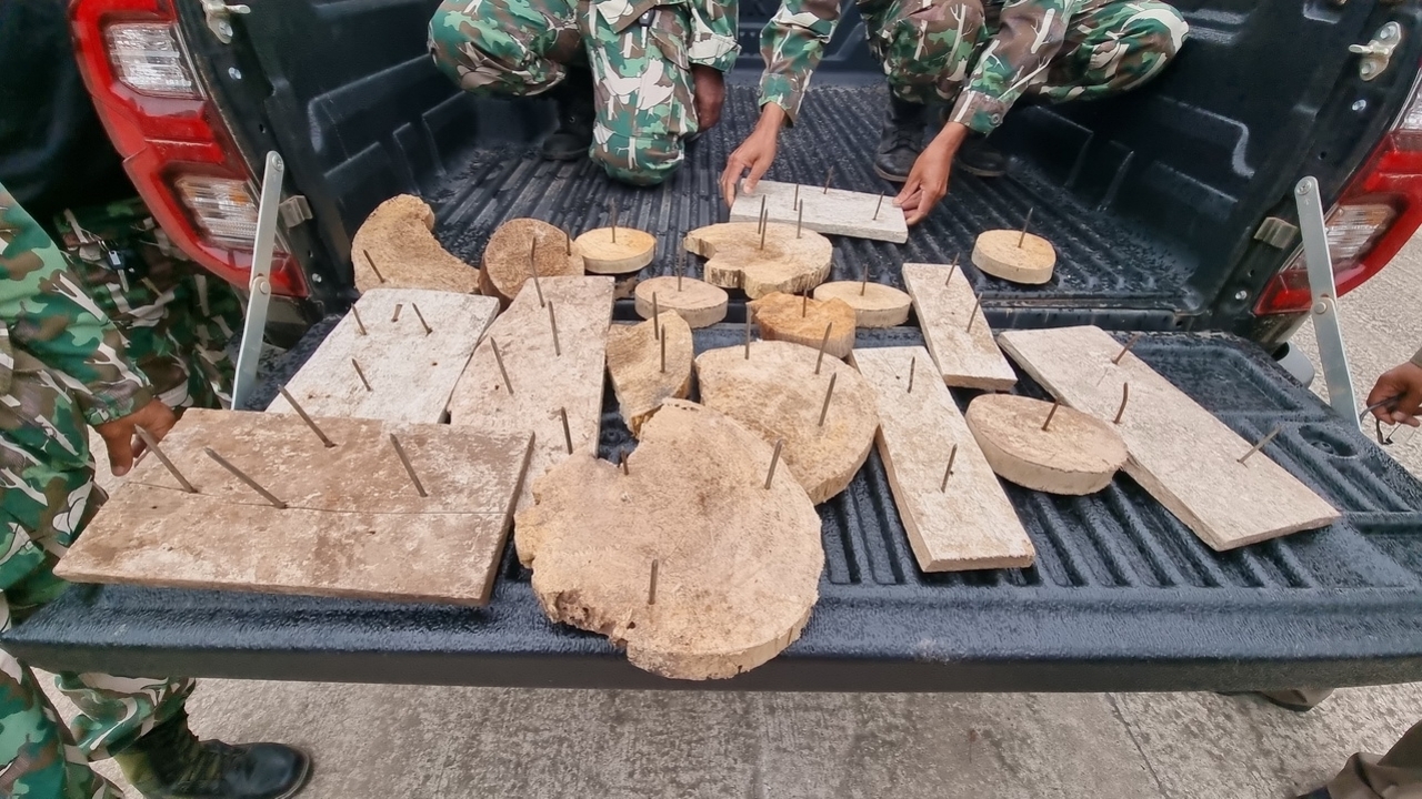 หัวหน้าเขตรักษาพันธุ์สัตว์ป่าภูหลวง แจ้งความเอาผิดคนใจร้าย วางกับดักช้าง