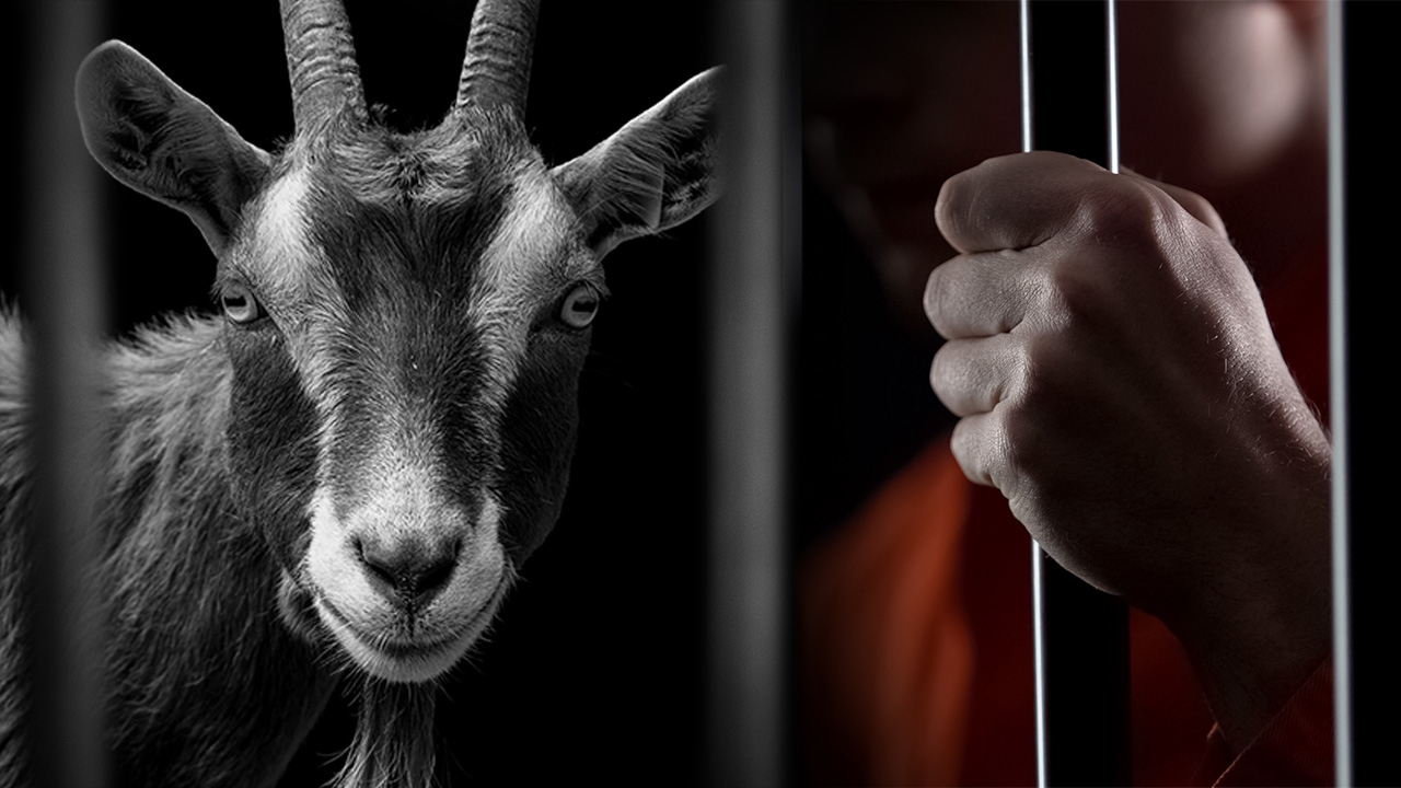 แพะคดีอาญา จับผิดตัวยัดคุก ตราบาปความผิดพลาด ทำผู้บริสุทธิ์ ตกนรกทั้งเป็น