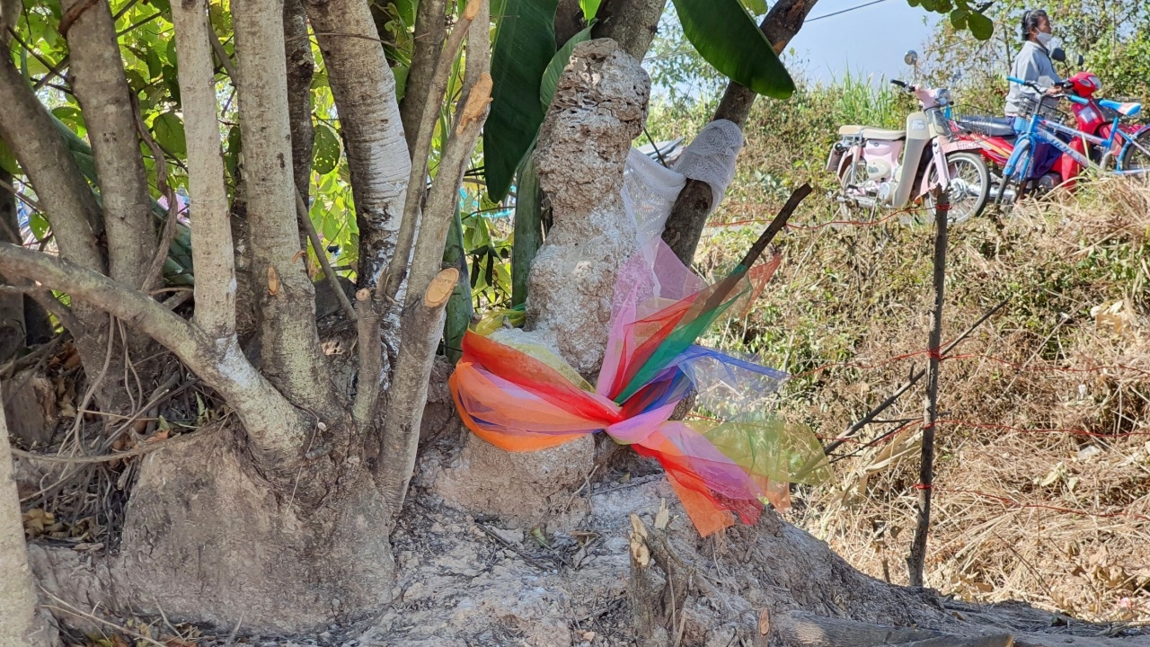 ชาวบ้านแห่แก้บน "จอมปลวก" หลังได้โชคถูกหวย แถมได้ "เลขเด็ดงวดนี้" ลุ้น 1/2/65