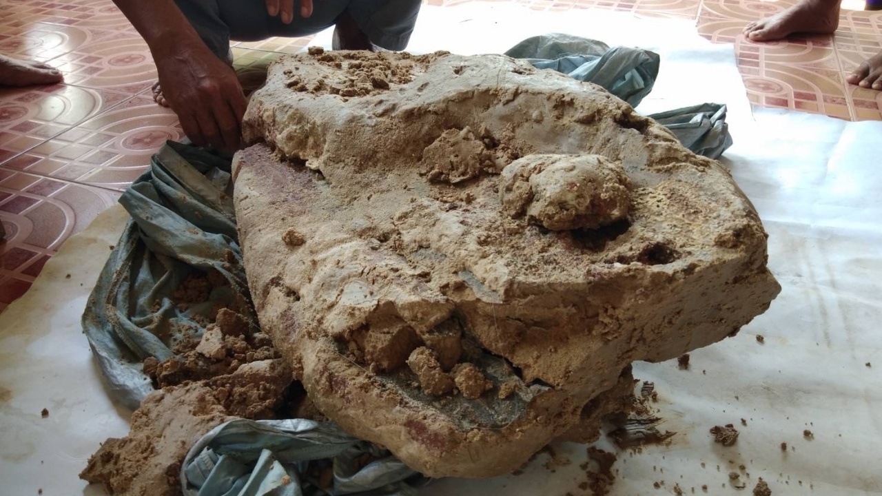 หนุ่ม เจอ "อ้วกวาฬ" อำพันทะเลหนักกว่า 20 กก. ส่งตรวจสอบแล้ว ของจริง