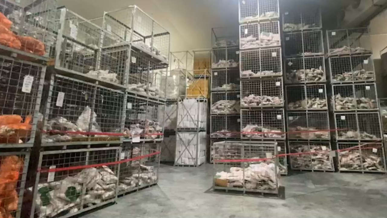 พบห้องเย็นที่สงขลา มีเนื้อหมูแช่แข็ง ขนจากพัทลุงกว่า 2แสน กก.